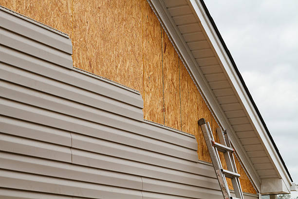 Professional Wood Siding technician working in Burnham, IL